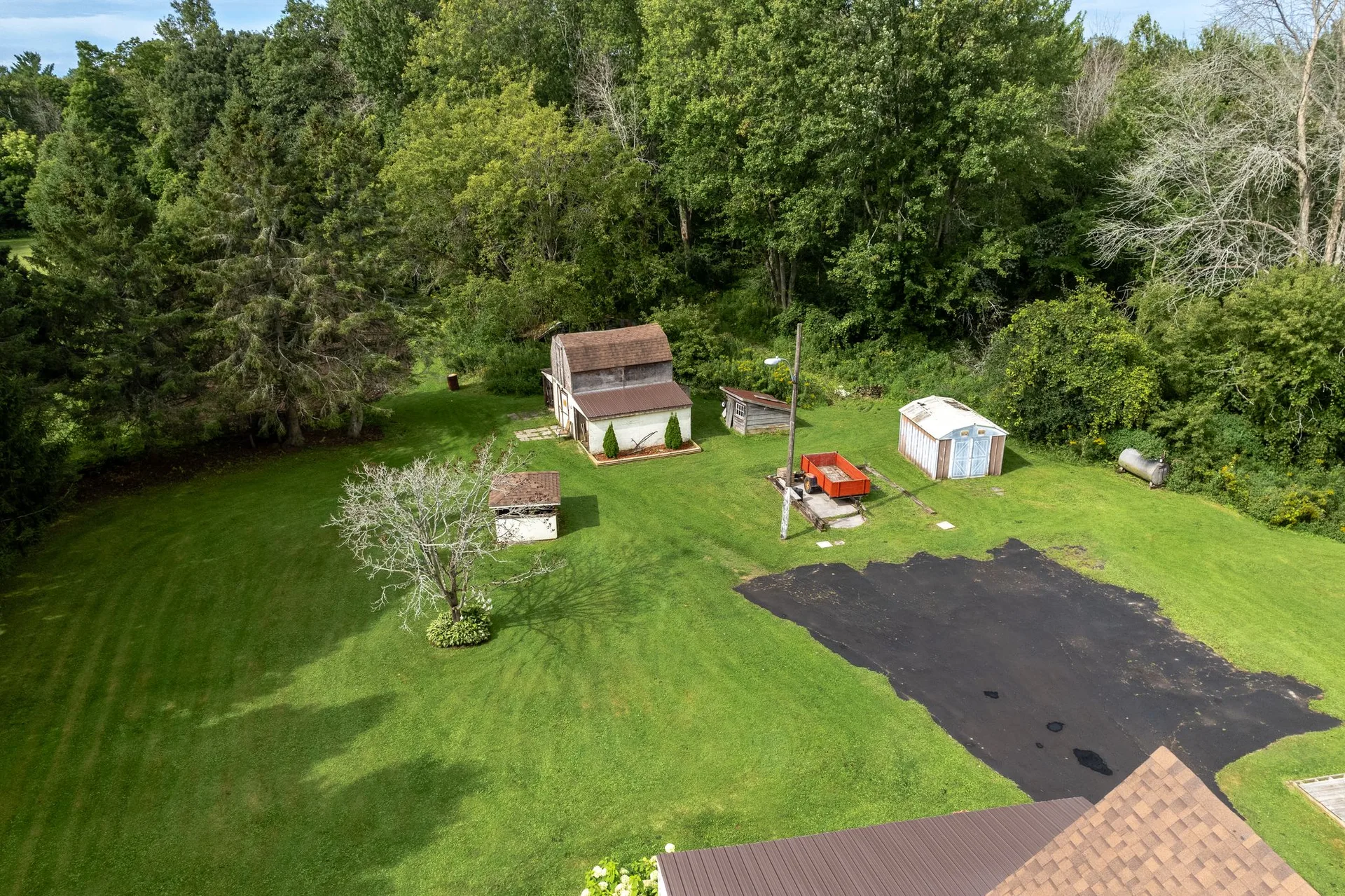Cedar trees and established landscaping at 21331 Loyalist Pkwy