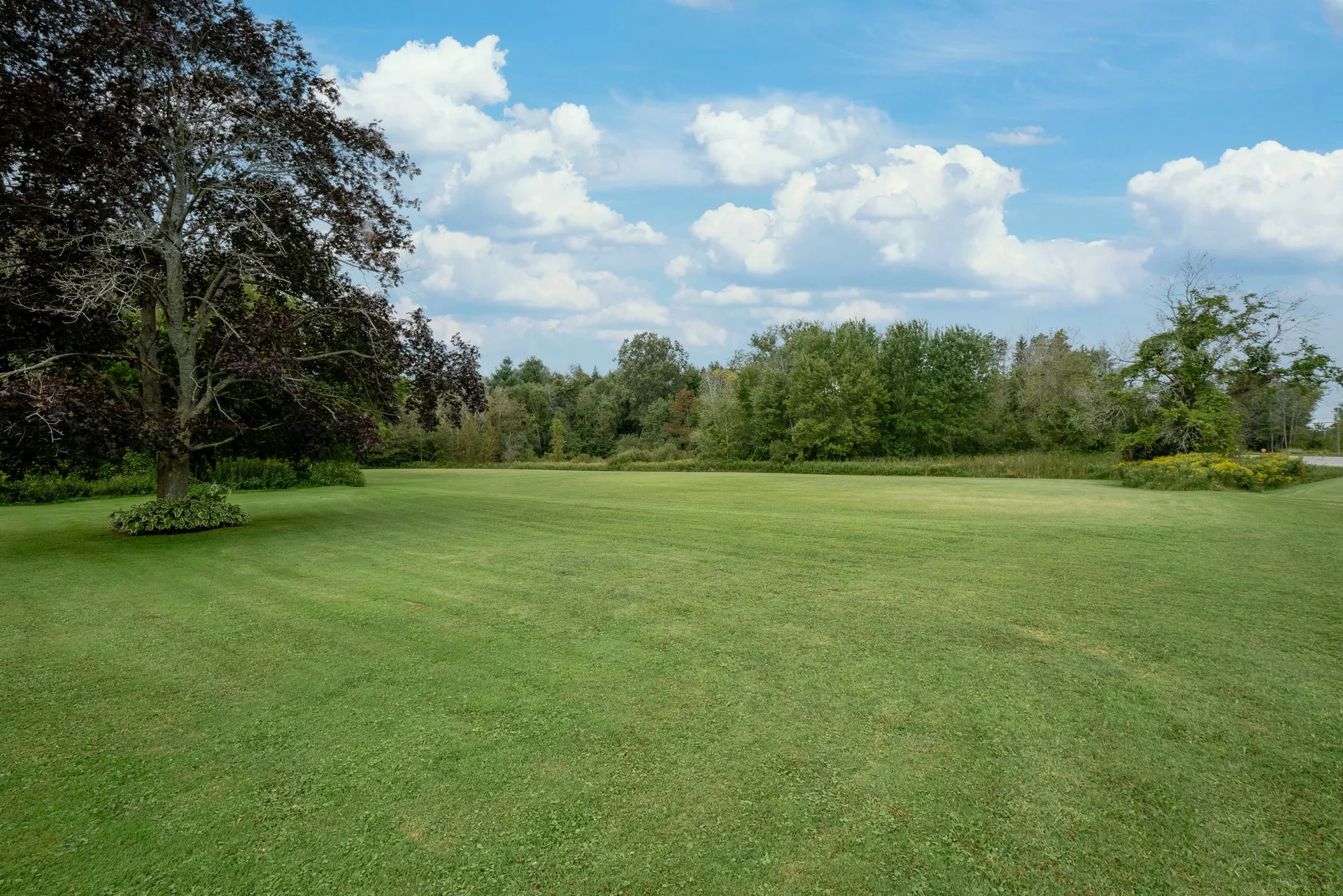 Covered well house and outbuildings on 8.3-acre farm
