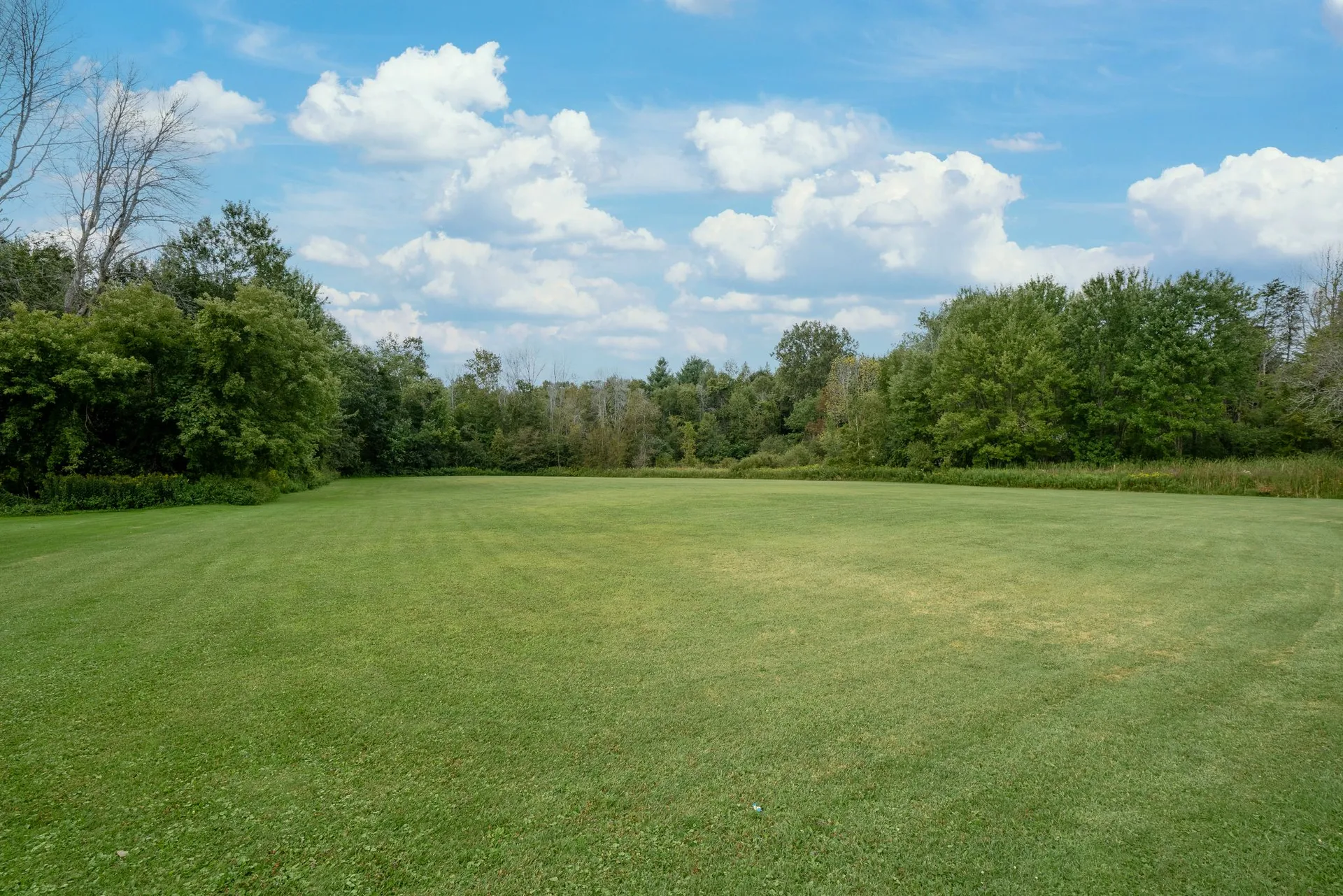 Open field and land at rear of 21331 Loyalist Pkwy