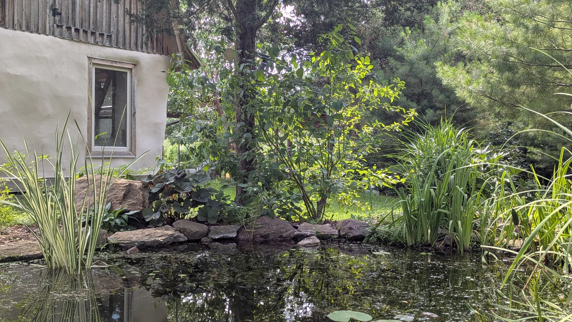 A naturalized garden pond edged with stone and native grasses beside the Bergerons' straw bale home in Prince Edward County