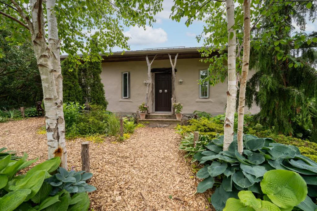 Jake Bergeron's straw bale home in Prince Edward County, lime plaster exterior with birch trees and landscaped path