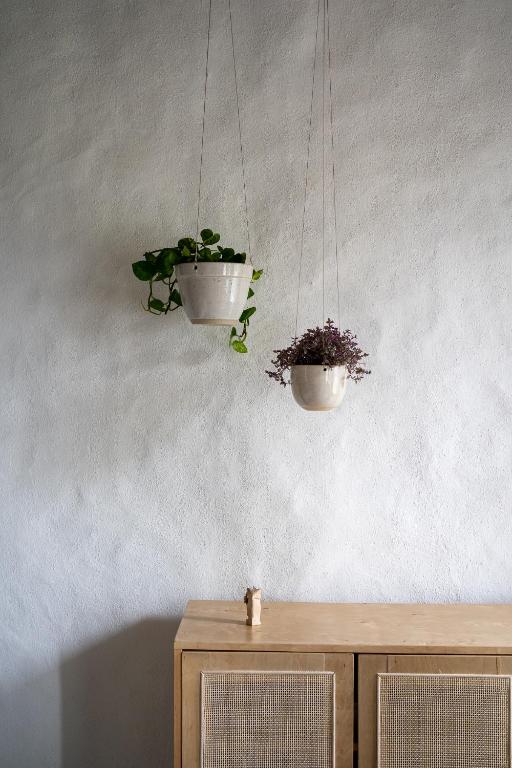 Detail of lime plaster wall in Jake's PEC short-term accommodation